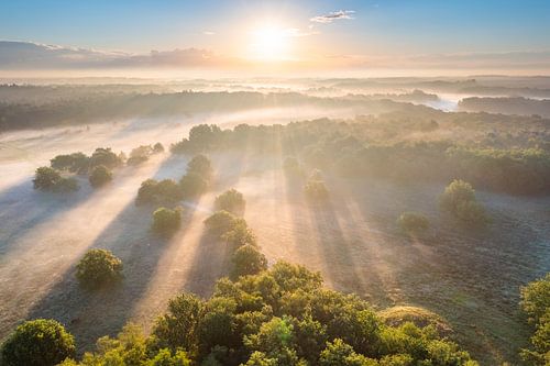 Zonsopkomst Nationaal Park Drentsche Aa