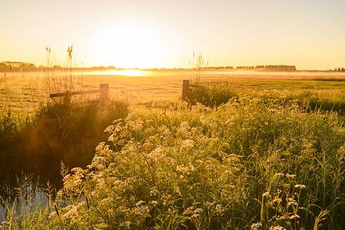 Vroege zonsopkomst tijdens een mooie lentedag over de Zwartendijk bij Kampen
