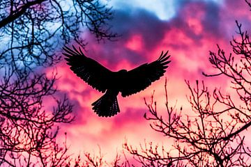 Vogel silhouet in kleurrijke lucht van Art & Soul Creations