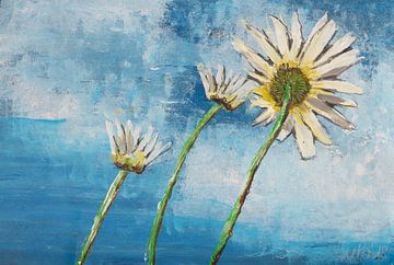 Good Morning Flower von Susanne A. Pasquay
