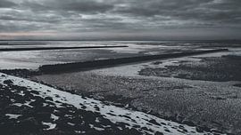 Gefrorene Weite – Wattenmeer im Winter