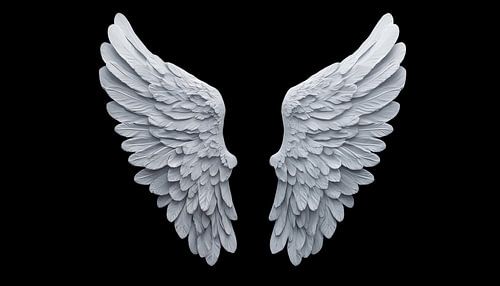 Witte engel vleugels portret panorama