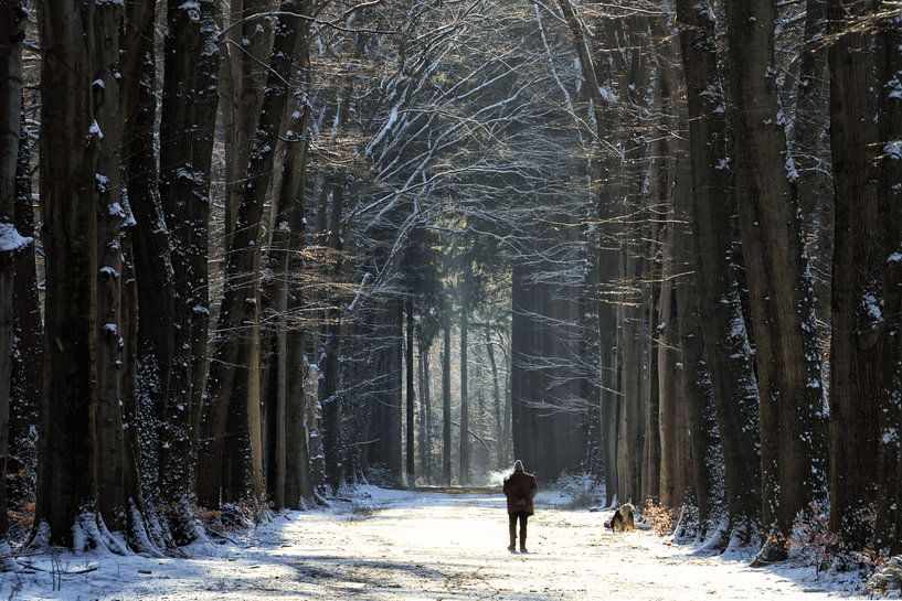 Walk the Dog von Martin Podt