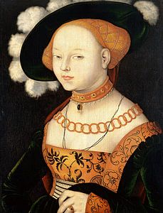 Hans Baldung Grien. Portrait d'une dame