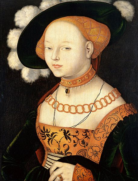 Hans Baldung Grien. Portrait d'une dame par 1000 Schilderijen