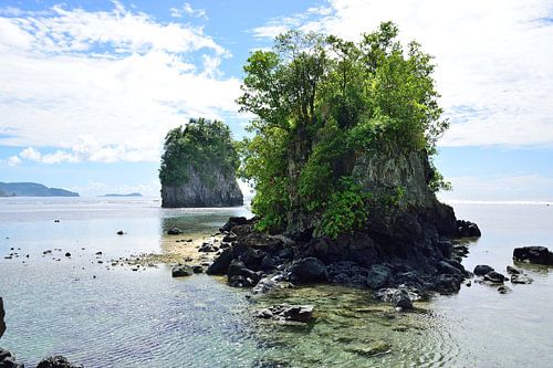 Both Fatu Rock and Futi Rock