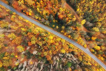 Boslandschap vanuit de lucht van Oliver Henze