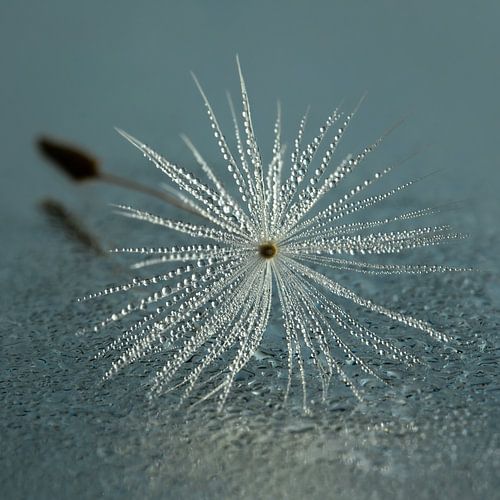 Tranquillity: a timeless piece of nature by Marjolijn van den Berg