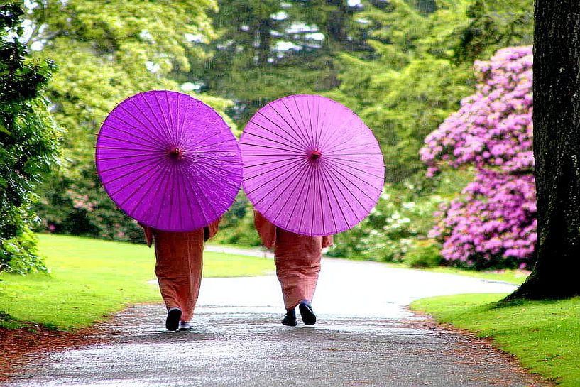 Le Japon en images Geisha par Egon Zitter
