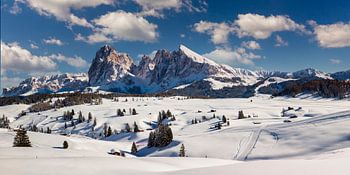Seiser Alm in den Dolomiten
