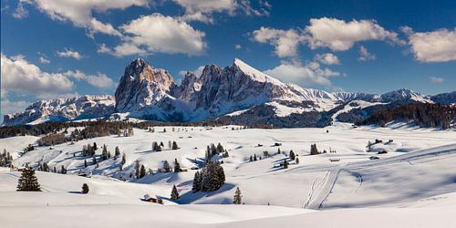 Seiser Alm in den Dolomiten von Dieter Meyrl