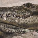 Krokodil schilderij van Russell Hinckley thumbnail