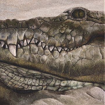 Krokodil schilderij van Russell Hinckley