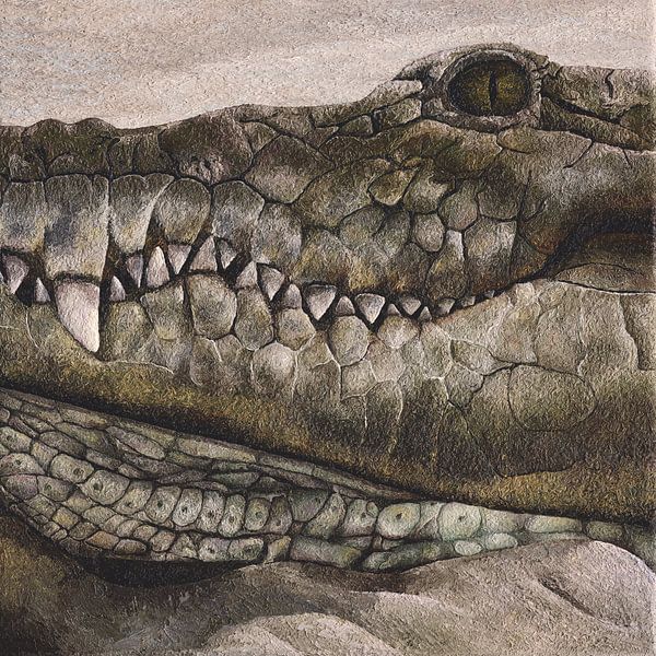 Crocodile by Russell Hinckley