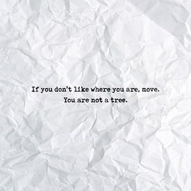 If you don't like where you are, move. You are not a tree by Maarten Knops