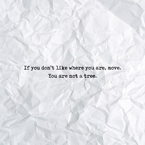 If you don't like where you are, move. You are not a tree by Maarten Knops