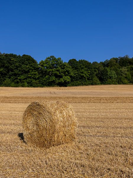 Hay bales on a field by Teresa Bauer