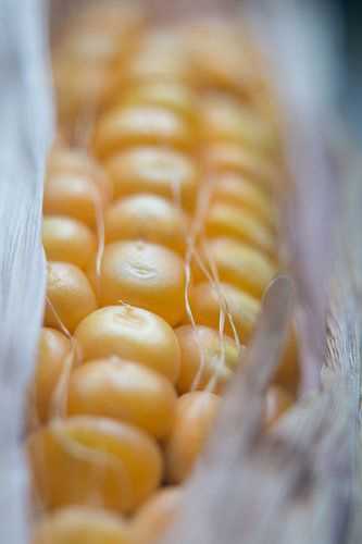 close up van een maiskolf