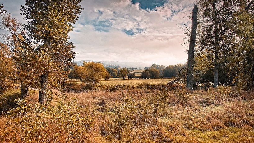 Geul valley by Rob Boon