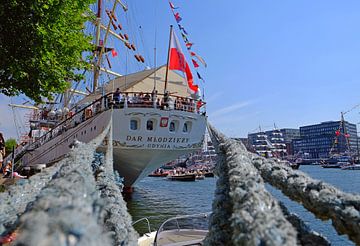 Pools zeilschip "Dar Mlodziezy" Sail Amsterdam 2015 van Ed Terbak