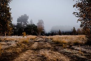 Je weet niet wat je mist... van Anouk Peeters