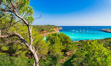 Baie idyllique avec des bateaux de plaisance au bord de la mer à Cala Varques sur Alex Winter