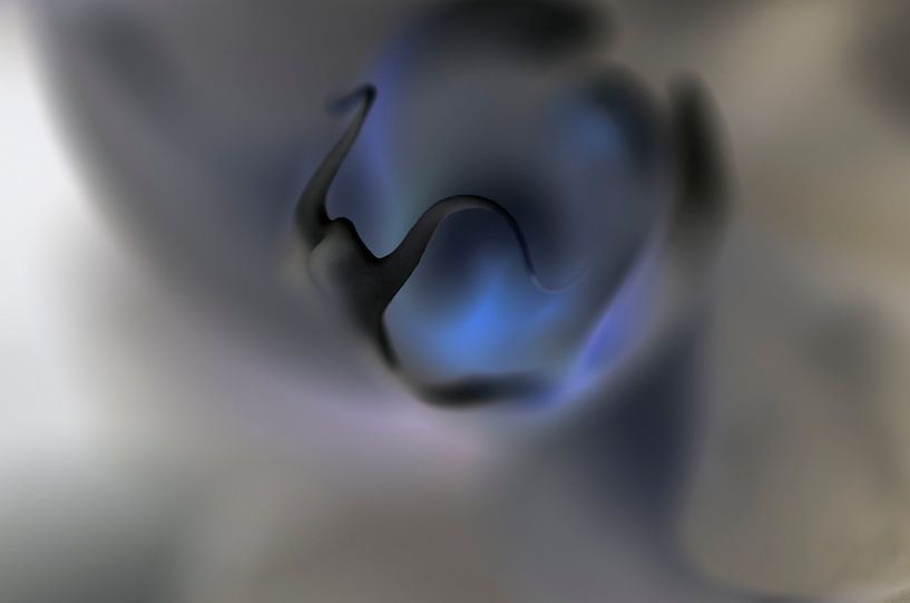 Orchidee  par Robby Stifter