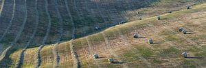 Landwirtschaft in der Toskana