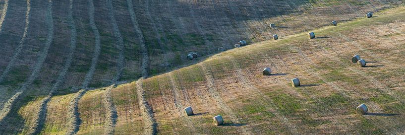 Agriculture in Tuscany by Walter G. Allgöwer