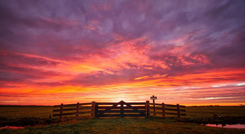 Wunderschöner Sonnenaufgang in Akersloot von Dennis Schaefer