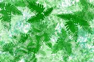 Pflanzen Blätter Farn Grün Illustration Weiß Tropical Dschungel von Andrea Schuller Miniaturansicht