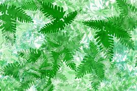 Pflanzen Blätter Farn Grün Illustration Weiß Tropical Dschungel von Andrea Schuller