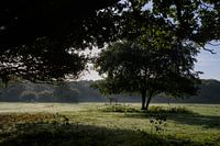 De Ochtendgloren