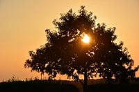 Zonsondergang
