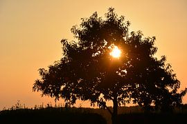 Zonsondergang by Tessa van Giessen