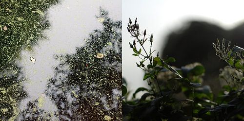 Diptych of water and land (4)  Amsterdam