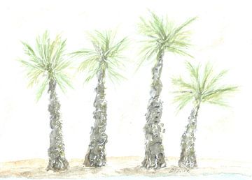 Palms by Sandra Steinke