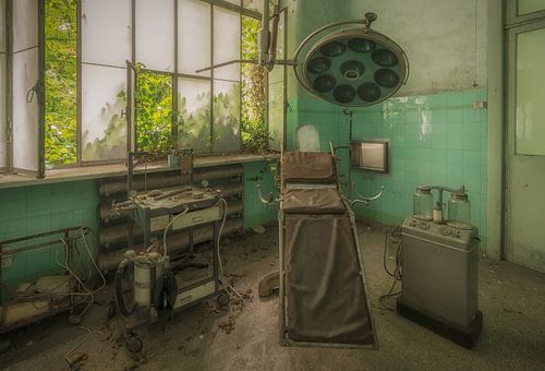 The Dentist