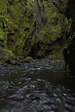 Canyon in Thorsmork, IJsland van Pep Dekker