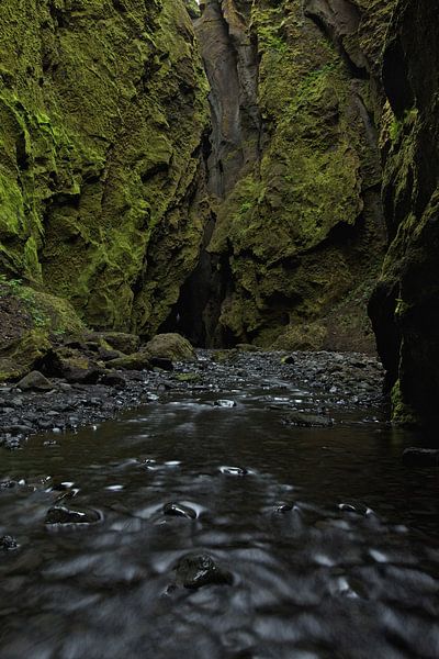 Canyon in Thorsmork, IJsland par Pep Dekker