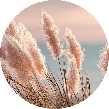 Pampas poëzie bij zonsondergang van Melanie Viola