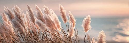 Pampas poëzie bij zonsondergang van Melanie Viola