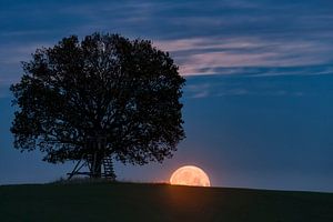 La pleine lune se lève derrière une colline sur Tilo Grellmann