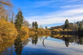 Uferlandschaft Buchensee bei Güttingen - Radolfzell von BlattArt - Christine Horn