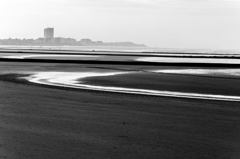 Mist aan de kust by Eline Willekens