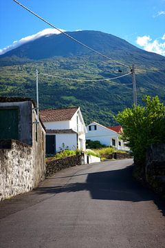 Insel Pico Azoren Straße von Jan Brons