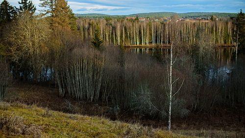 Der Fluss Glomma. Ein Blick auf die erstaunliche und idyllische norwegische Landschaft. Herbstbild mit Bergen und Flüssen