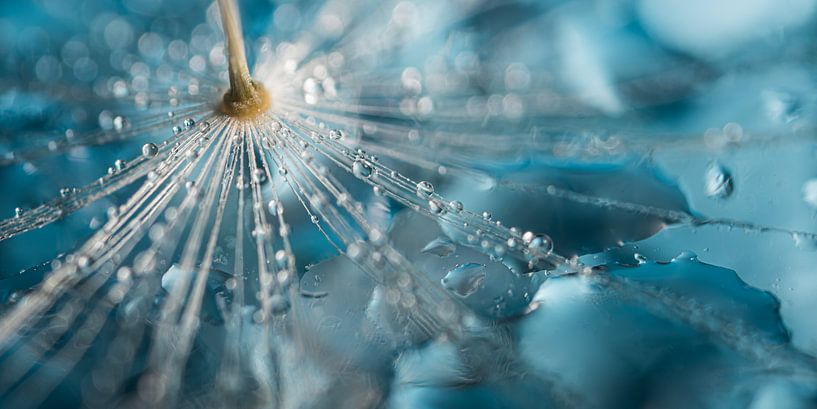 Abstraction : les &quot;lignes&quot; avec les gouttes se fondent dans la surface bleue de l'eau. par Marjolijn van den Berg