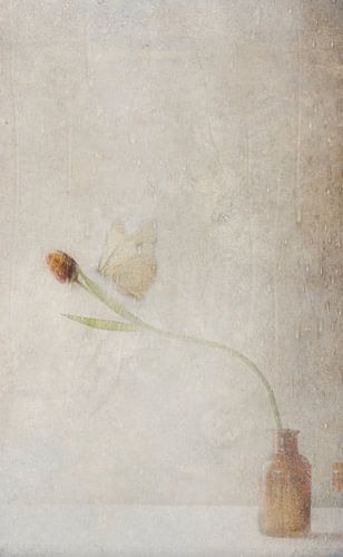 Réunion éphémère