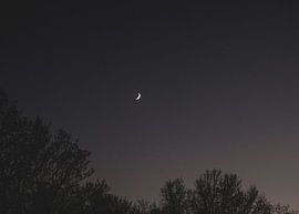 Mond von Jessica Bakhuijs